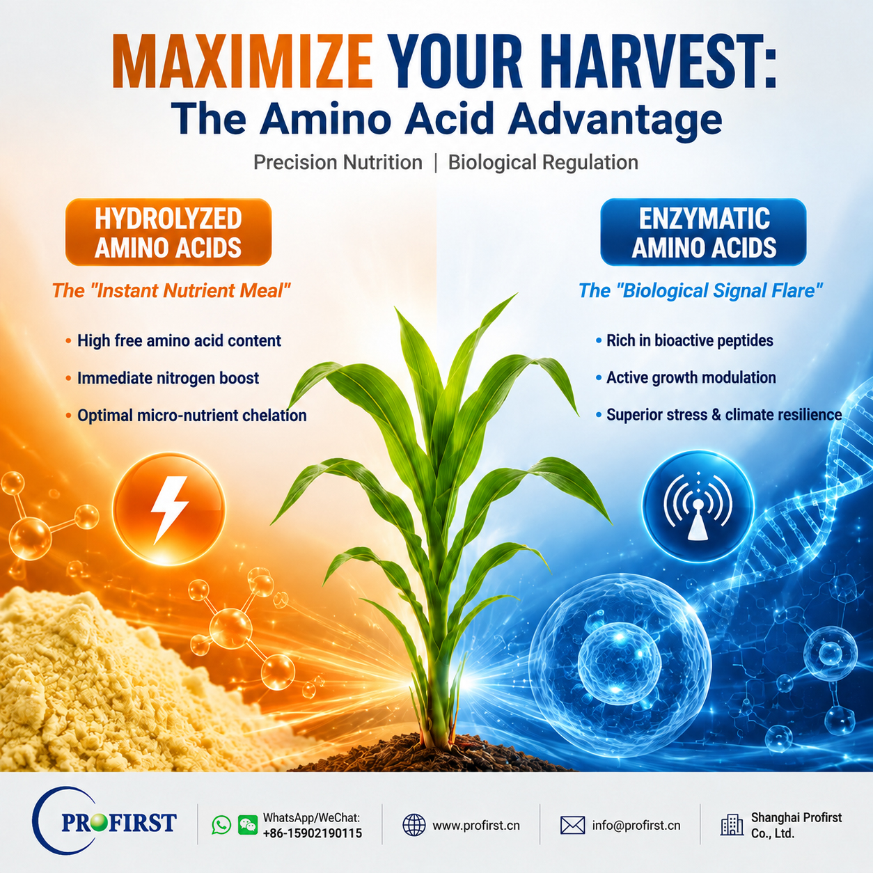The Amino Acid Advantage in Crop Nutrition